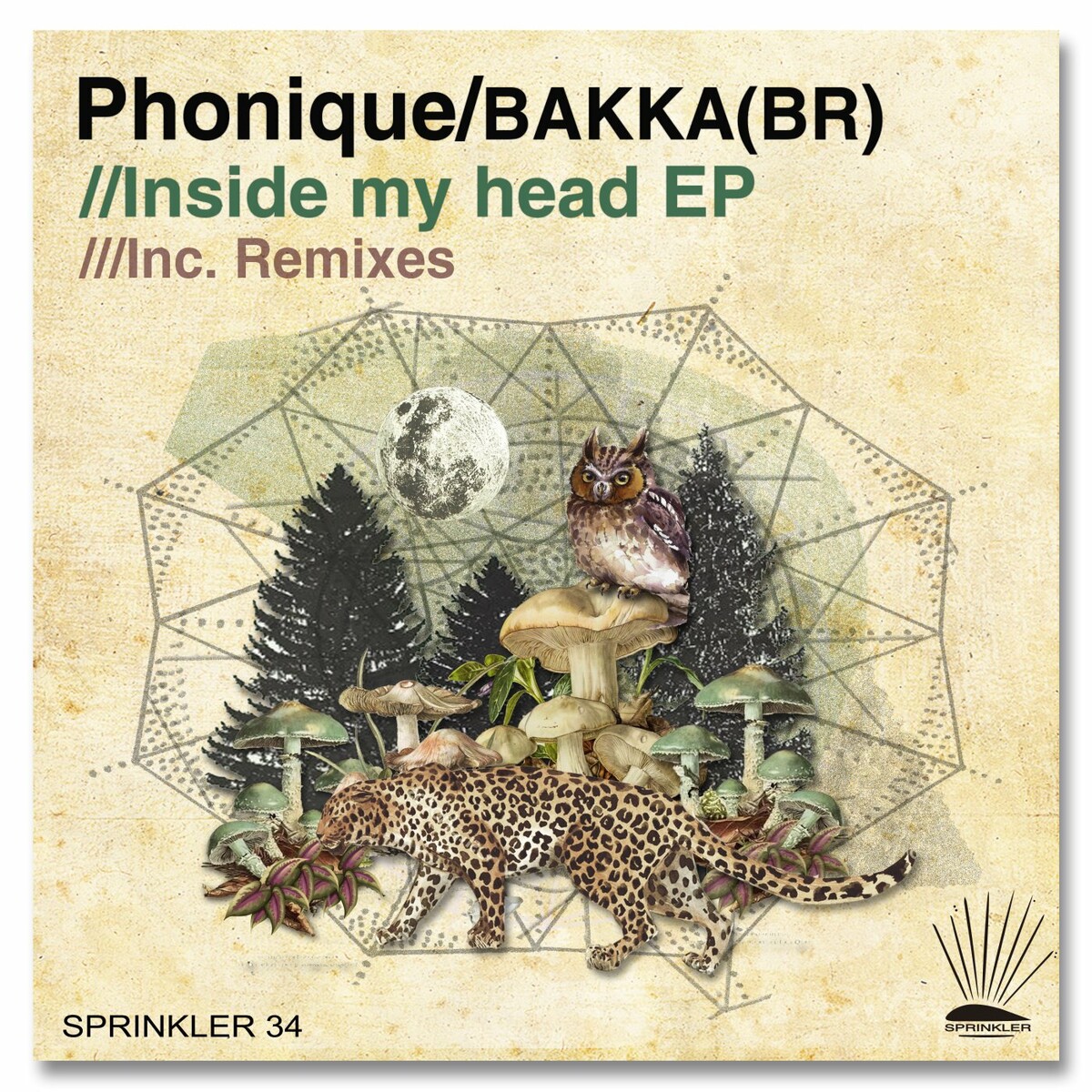 Phonique & Bakka (BR) – Inside My Head (2022) [16bit Flac]