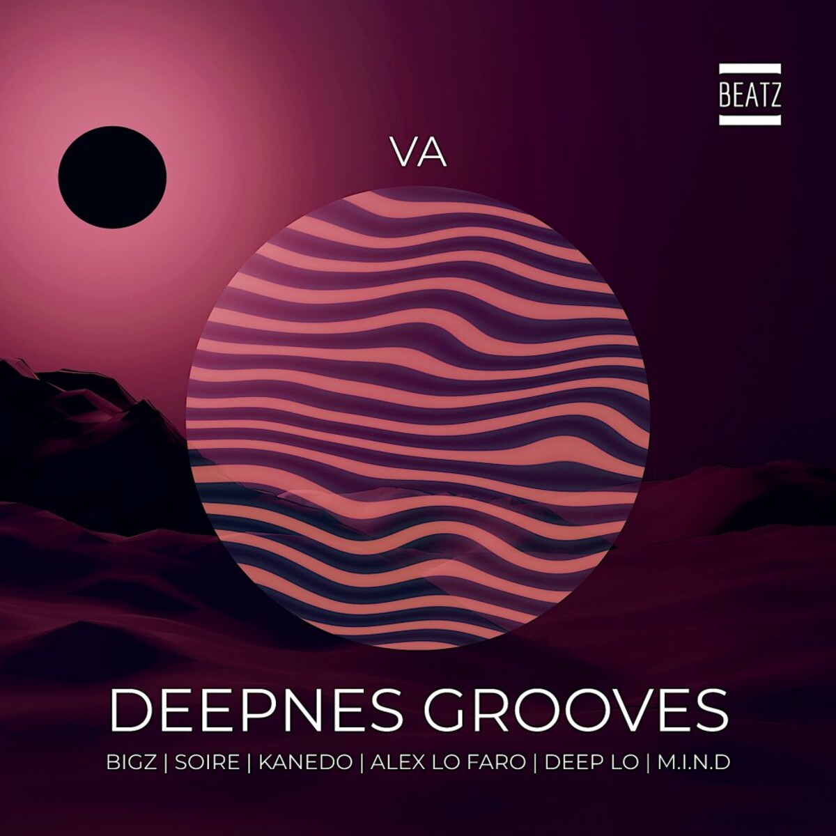 VA - Deepness Grooves (2022)