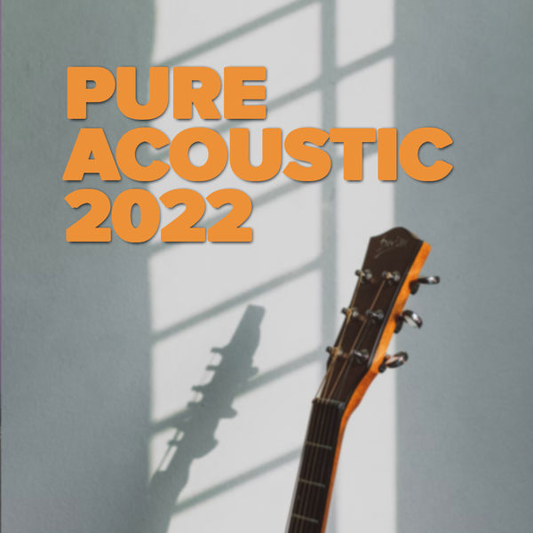 Various Artists - Pure Acoustic