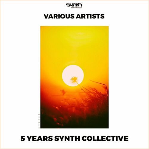 VA - 5 Years Synth Collective
