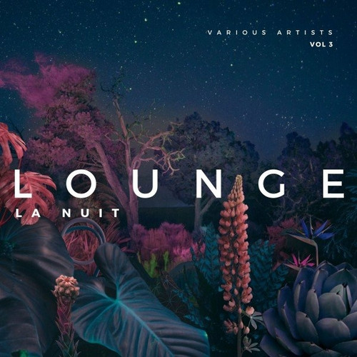 VA - Lounge La Nuit, Vol. 3