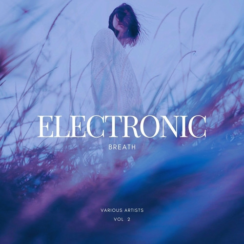 VA - Electronic Breath, Vol. 2