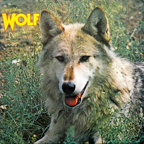 Darryl Way's Wolf – Canis Lupus