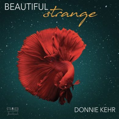 Donnie Kehr - Beautiful Strange