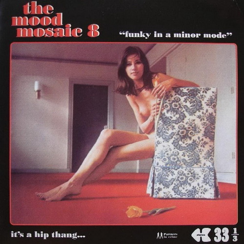 The Mood Mosaic Vol.8: Funky In A Minor Mode (1999)