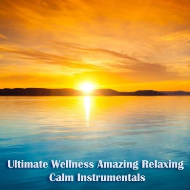 VA - Ultimate Wellness Amazing Relaxing Calm Instrumentals